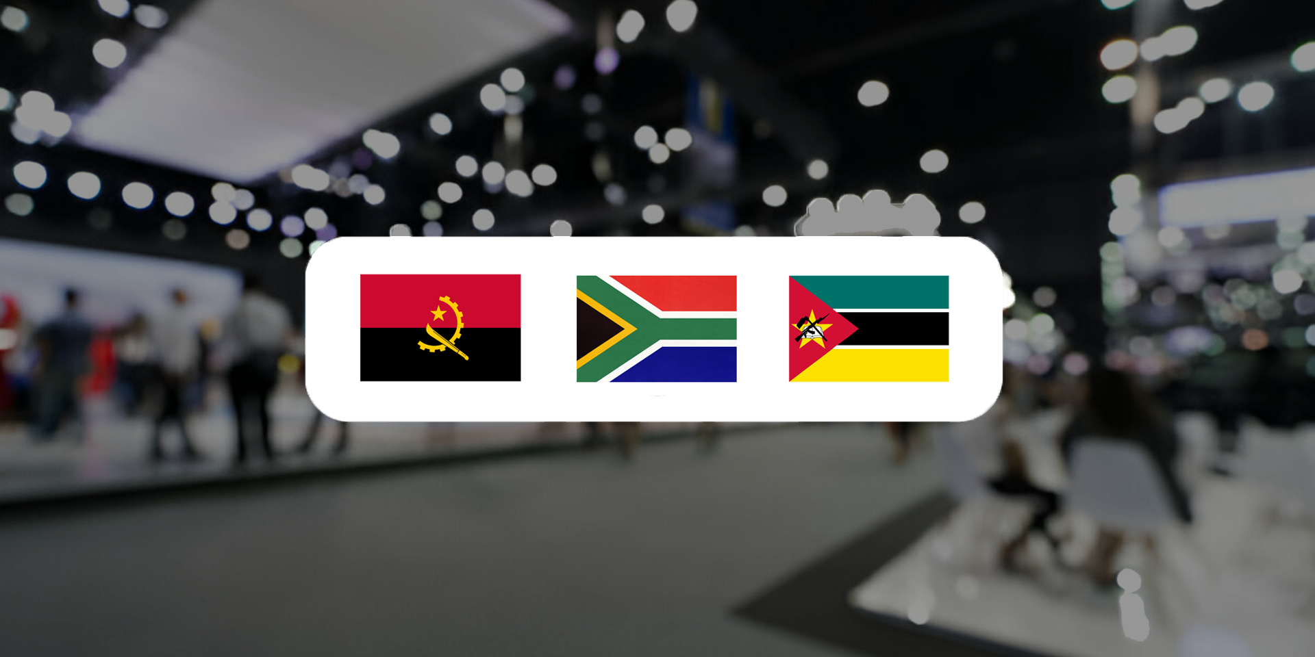 Management of High-Profile African Presidential and Business Trade Events